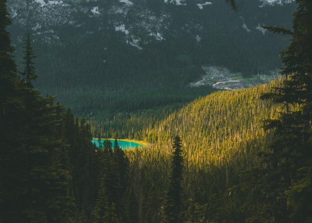 Joffre Lake