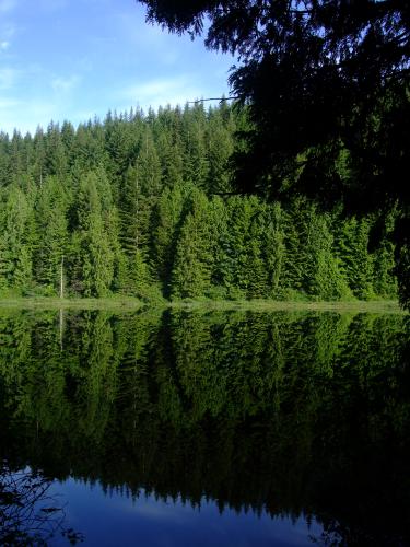 Rolley Lake Trail