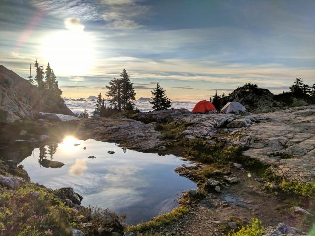 Mount Seymour Peak Trail