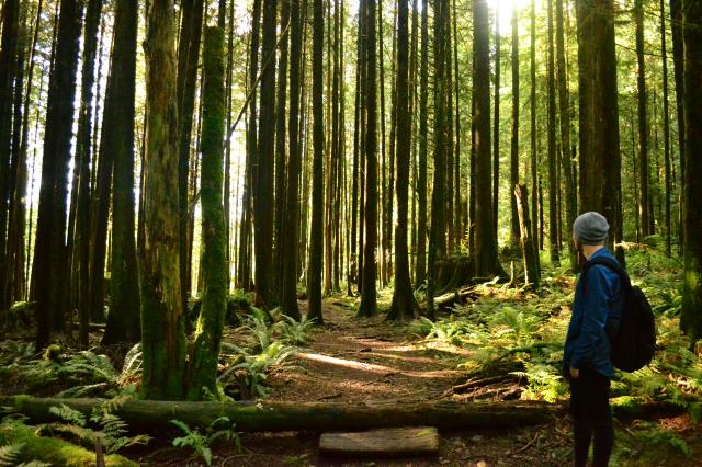 Golden Ears Trail