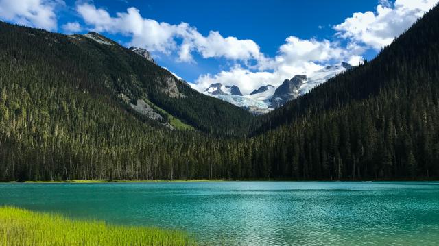 Joffre Lakes Trail