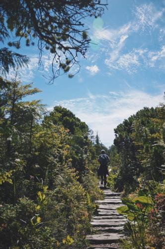 Nuu Chah Nulth Trail