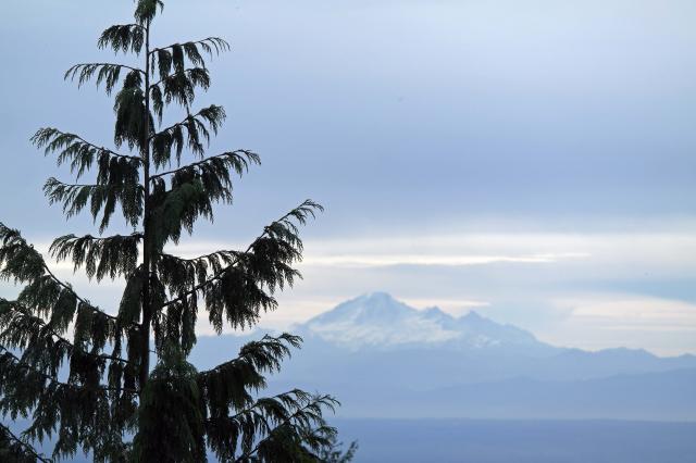 Mount Seymour