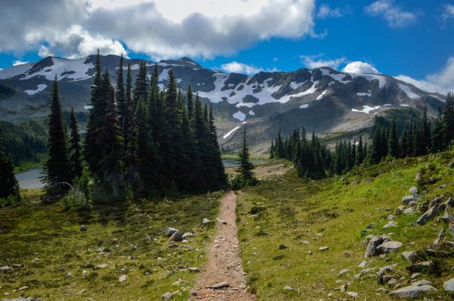 Panorama Ridge Trail