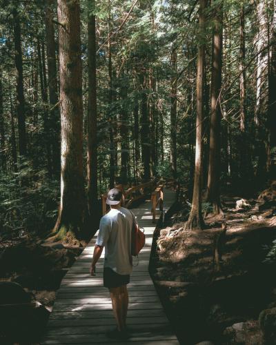 Baden Powell Trail