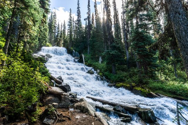 Joffre Lakes Trail