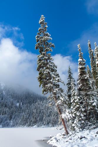 Joffre Lakes