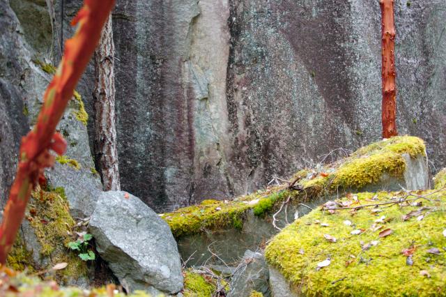 Un-named Trail On Nelson Island