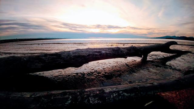 Iona Spit Trail