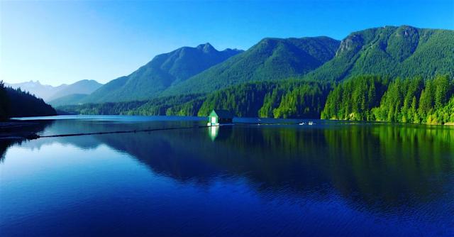 Capilano Pacific Trail Photo | Hiking Photo Contest | Vancouver Trails