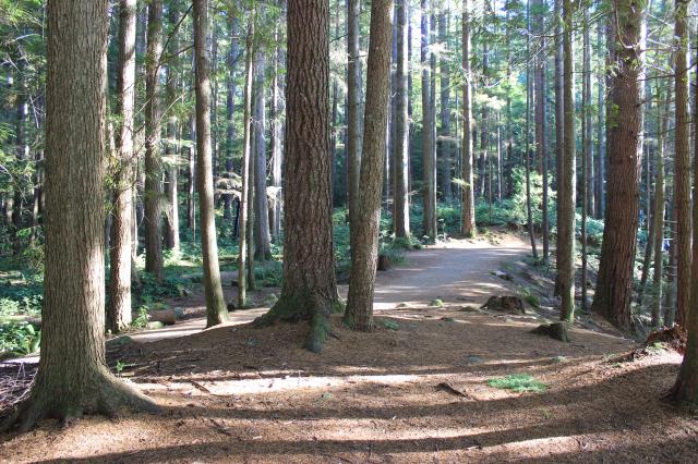 Rice Lake Loop Trail