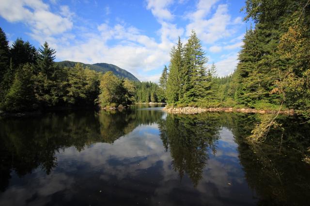 Rice Lake Loop Trail