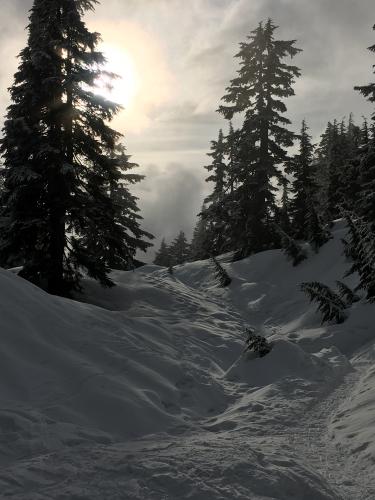 The Grouse Mountain