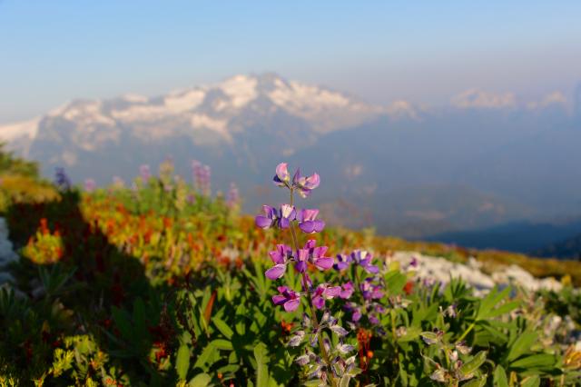 Elfin Lakes