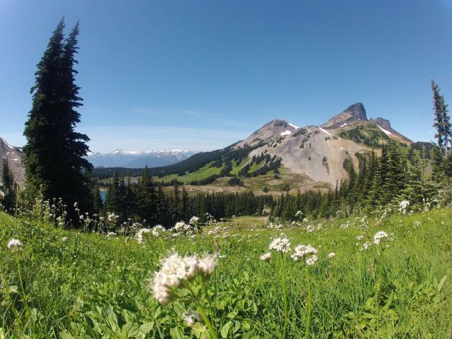 Panorama Ridge Trail