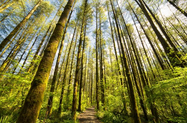 Campbell Valley Park