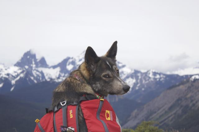 Skyline I Trail