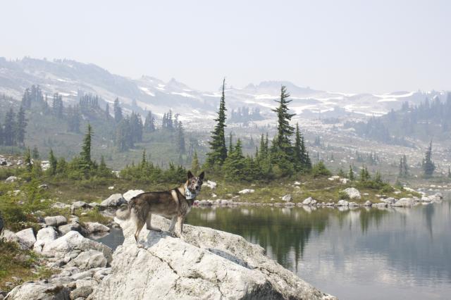 Brew Lake Trail