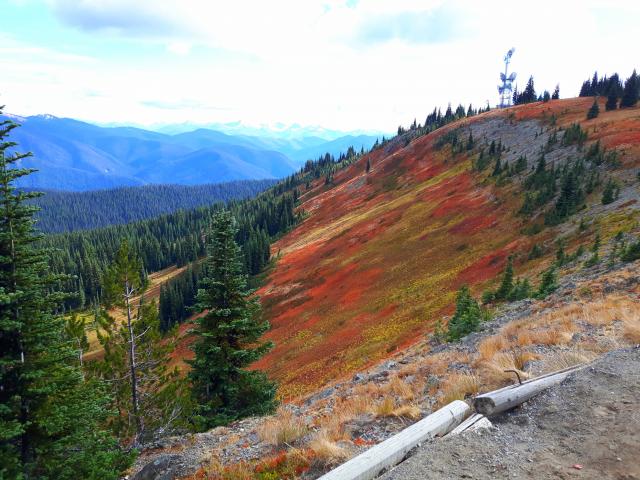 Heather's Trail