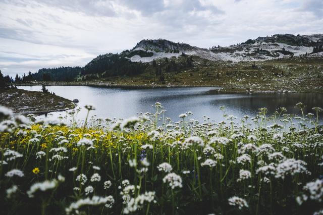 Brew Lake