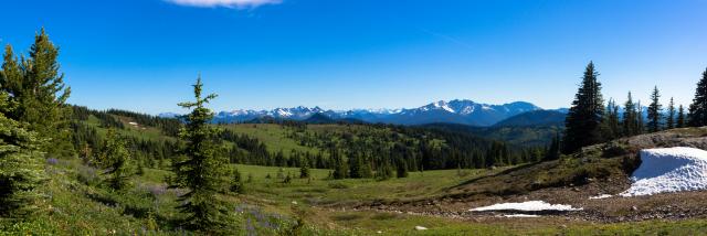 Heather Trail