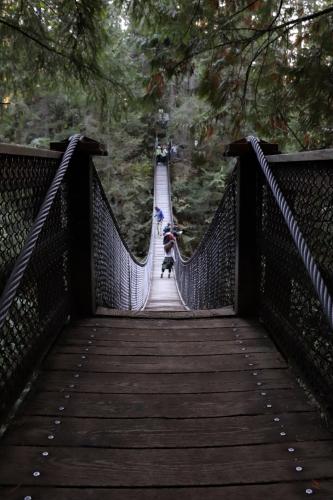 Lynn Canyon