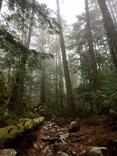 Murrin Lake Loop