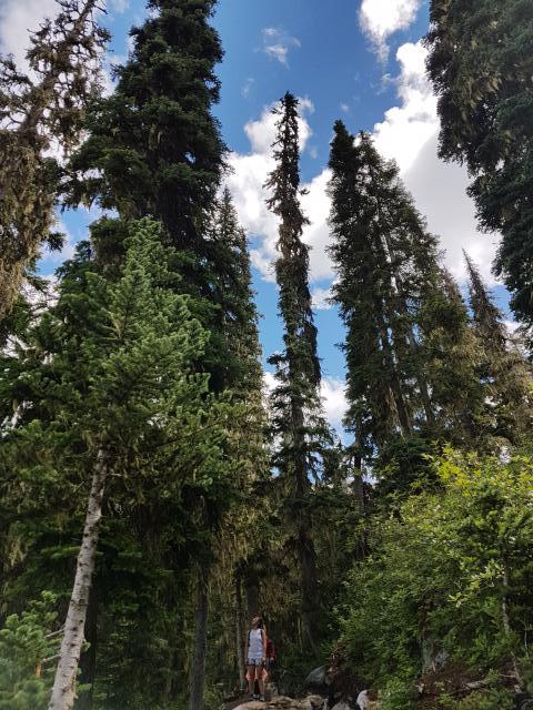 Joffre Lakes