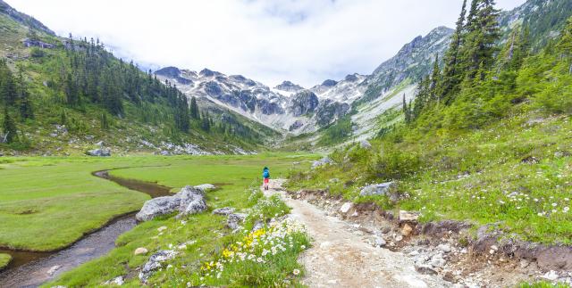 Brandywine Meadows