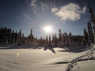 Mount Seymour Snowshoe Trail