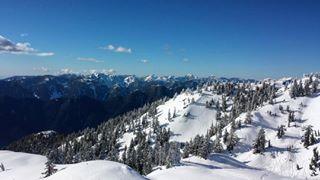 Mount Seymour Trail