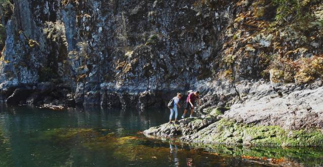 Skookumchuck Narrows Hike