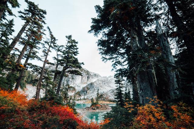 Watersprite Lake