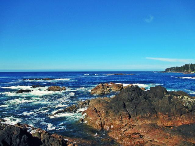 Hecht Beach Trail