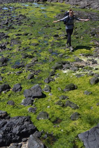 Juan De Fuca Trail