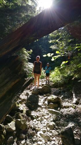 Golden Ears Trail