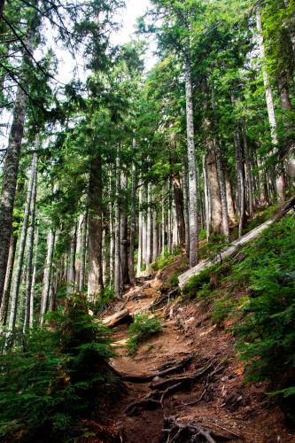 Howe Sound Crest Trail