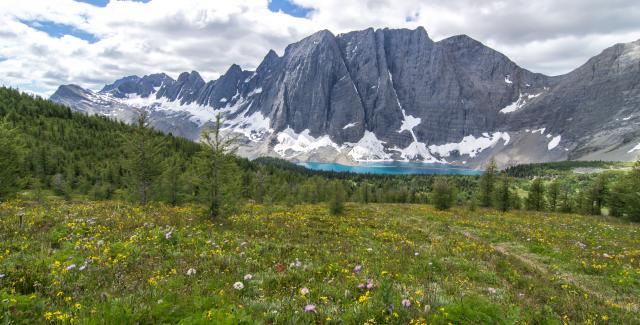 Floe Lake