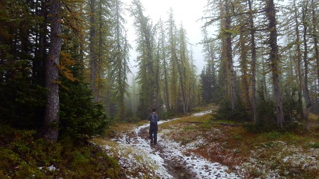 Frosty Mountain