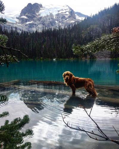 Joffre Lake Provincial Park