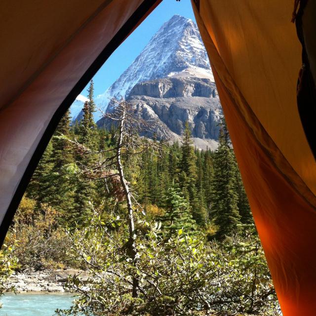 Berg Lake Trail