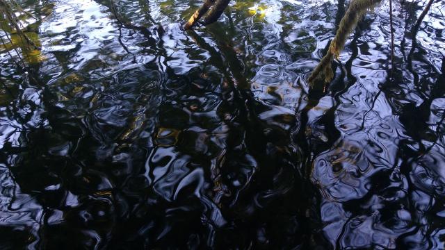 Buntzen Lake Loop