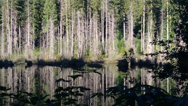 Buntzen Lake Loop