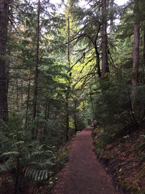 Garibaldi Provincial Park