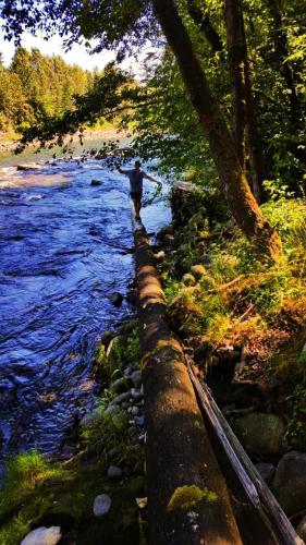 Capilano Pacific Trail