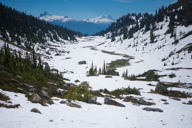 Brandywine Meadows