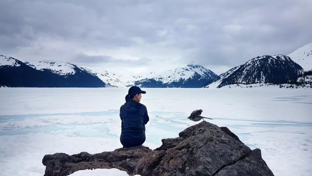 Garibaldi Lake Trail