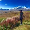 Tatshenshini-Alsek Provincial Park