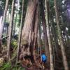 Juan de Fuca Trail