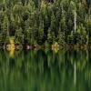 Cheakamus Lake trail